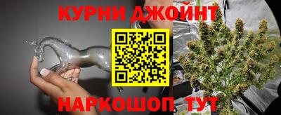 крисы Тулун