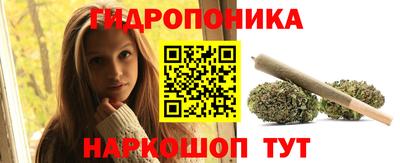 крисы Тулун
