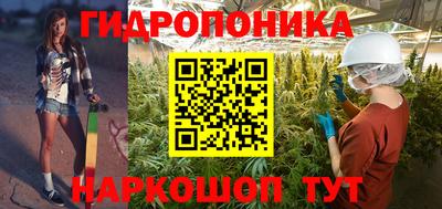 крисы Тулун