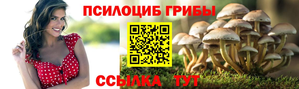 Псилоцибиновые грибы прущие грибы  Псилоцибиновые грибы мухоморы  закладка  Вход с VPN  Назарово 